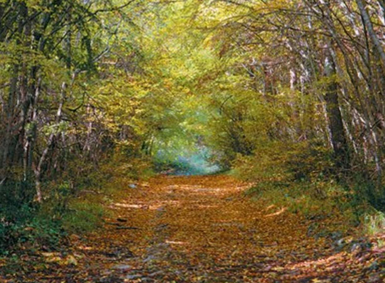 Kaiserwald Pula Exteriör bild
